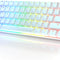 GK61 RGB Mechanical Gaming Keyboard - 61 Keys Wired Programmable with Gateron Optical Brown Switches for PC/Mac Gamers